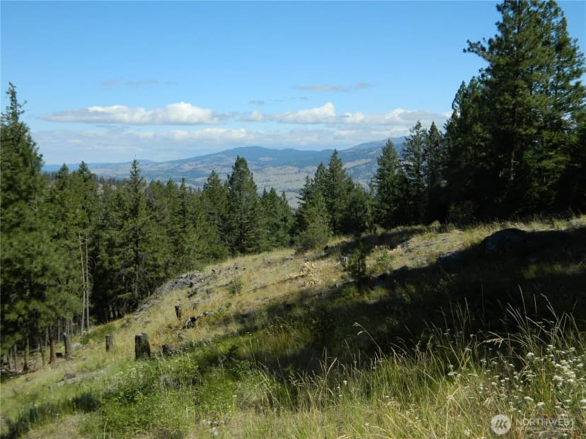 Property photo for 0 Tbd Snowbunny Ridge Drive, Tonasket photo 2