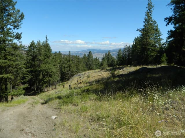 Property photo for 0 Tbd Snowbunny Ridge Drive, Tonasket