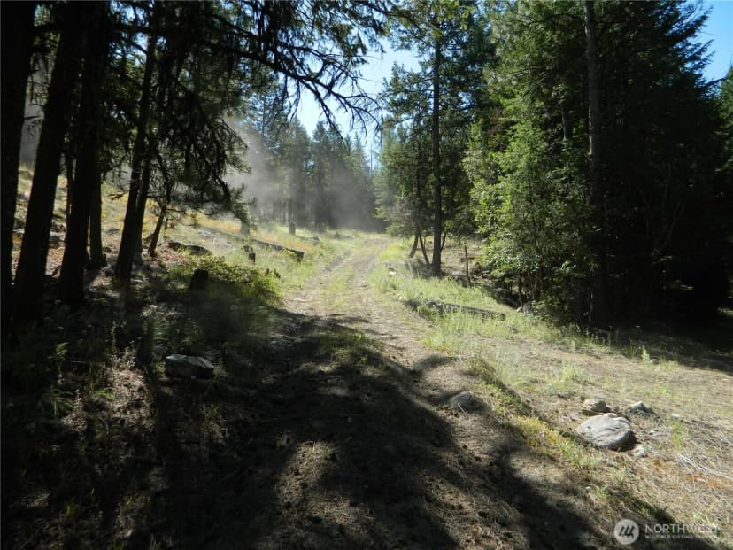 Property photo for 0 Tbd Snowbunny Ridge Drive, Tonasket photo 20