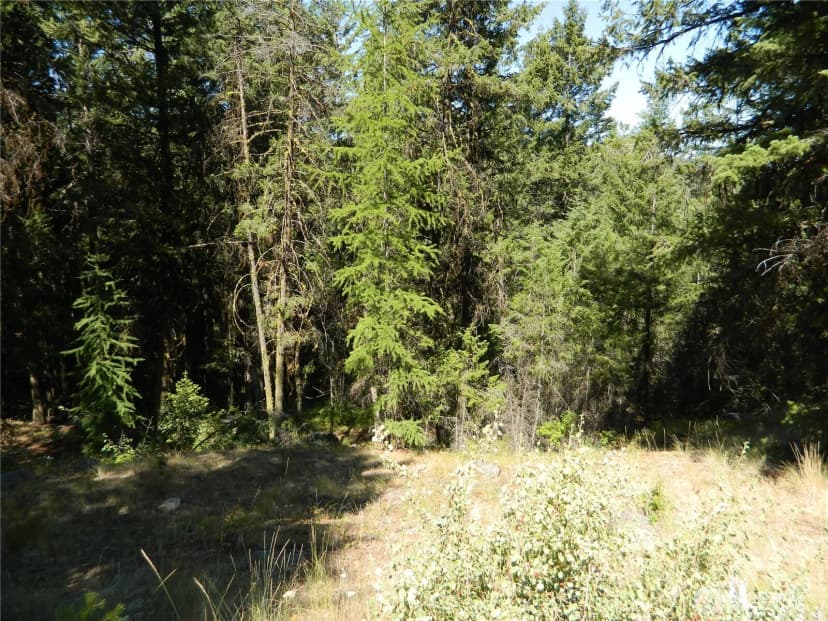Property photo for 0 Tbd Snowbunny Ridge Drive, Tonasket photo 9