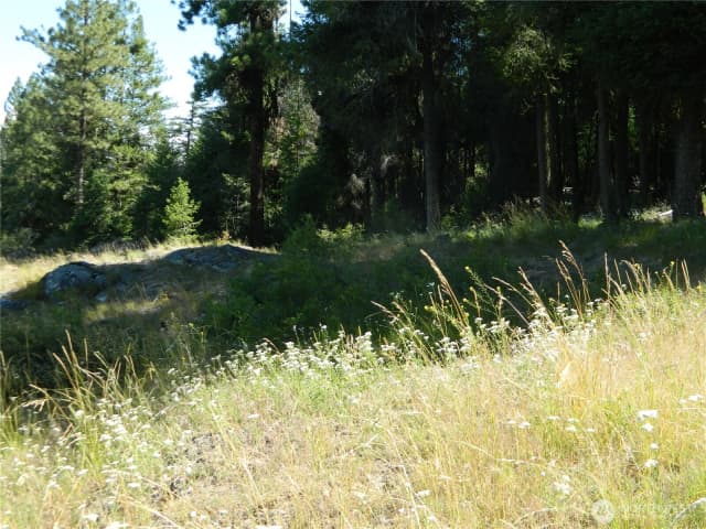 Property photo for 0 Tbd Snowbunny Ridge Drive, Tonasket photo 3