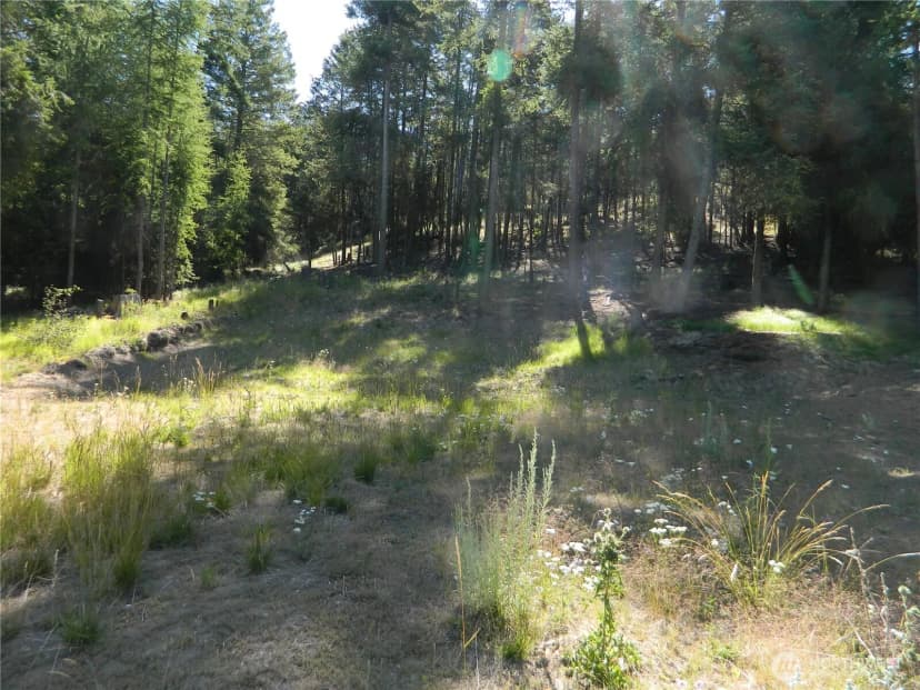 Property photo for 0 Tbd Snowbunny Ridge Drive, Tonasket photo 6
