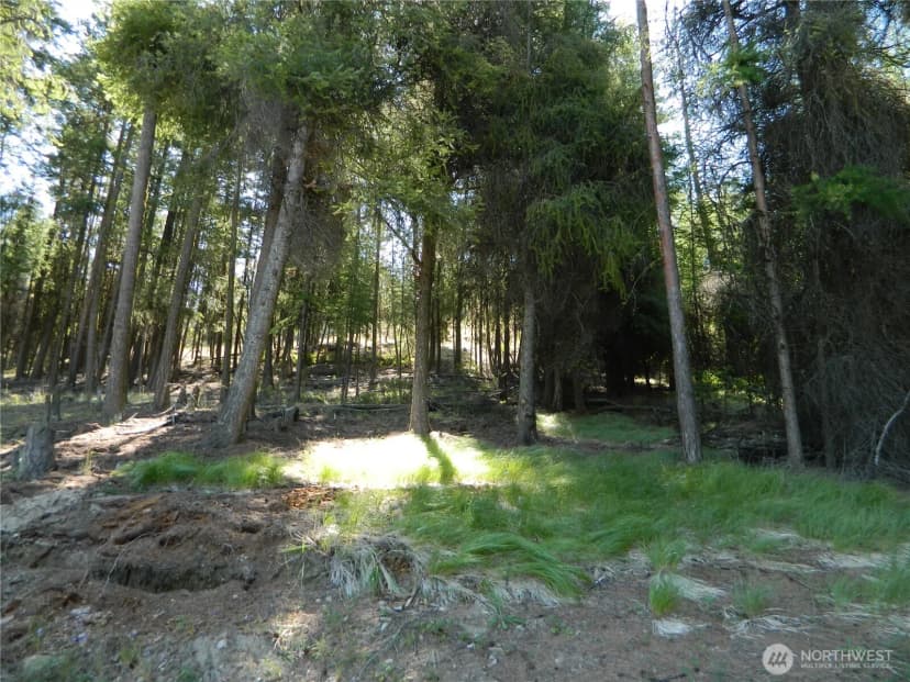 Property photo for 0 Tbd Snowbunny Ridge Drive, Tonasket photo 19