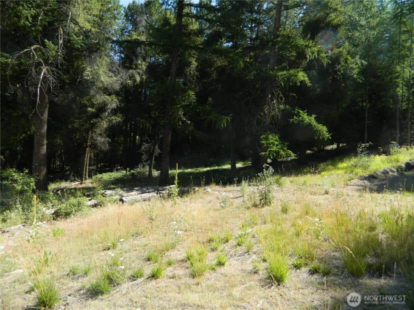 Property photo for 0 Tbd Snowbunny Ridge Drive, Tonasket photo 5