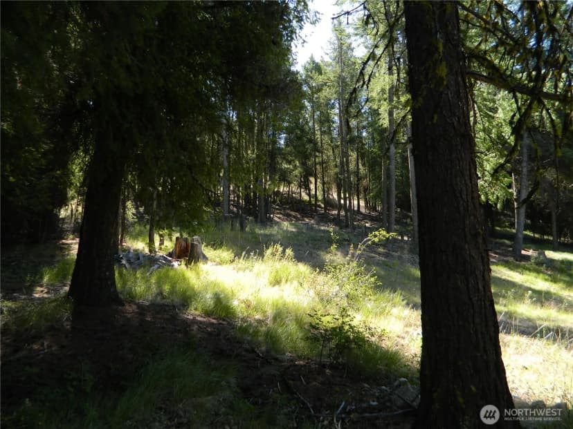 Property photo for 0 Tbd Snowbunny Ridge Drive, Tonasket photo 15