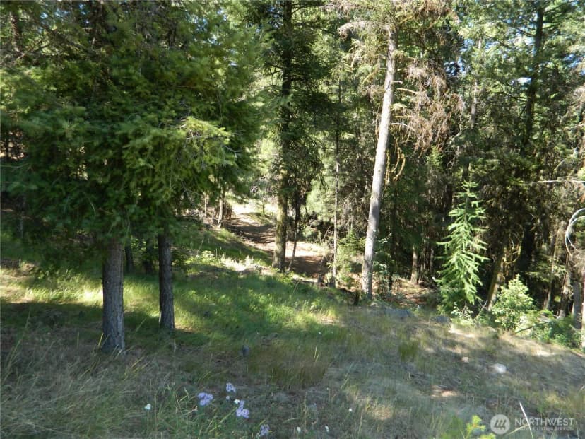 Property photo for 0 Tbd Snowbunny Ridge Drive, Tonasket photo 8