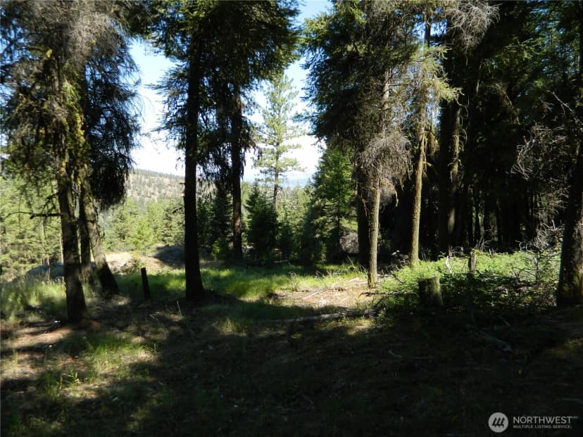 Property photo for 0 Tbd Snowbunny Ridge Drive, Tonasket photo 17