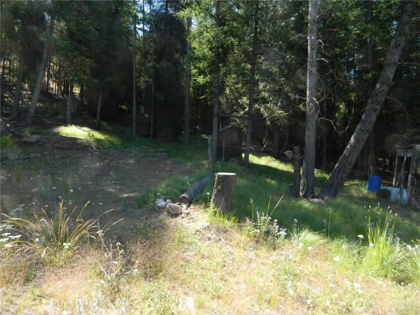 Property photo for 0 Tbd Snowbunny Ridge Drive, Tonasket photo 7