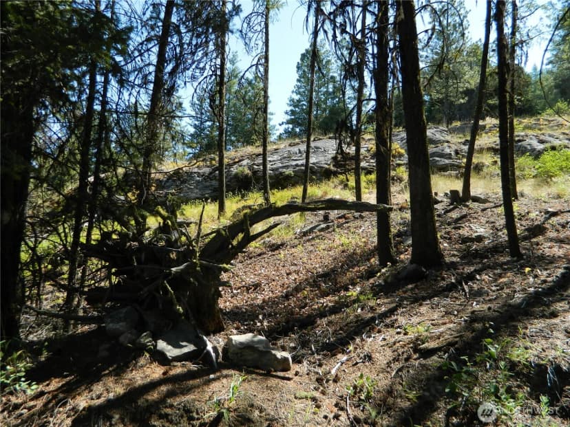 Property photo for 0 Tbd Snowbunny Ridge Drive, Tonasket photo 21