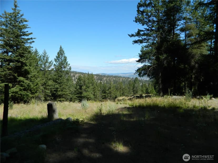 Property photo for 0 Tbd Snowbunny Ridge Drive, Tonasket photo 18