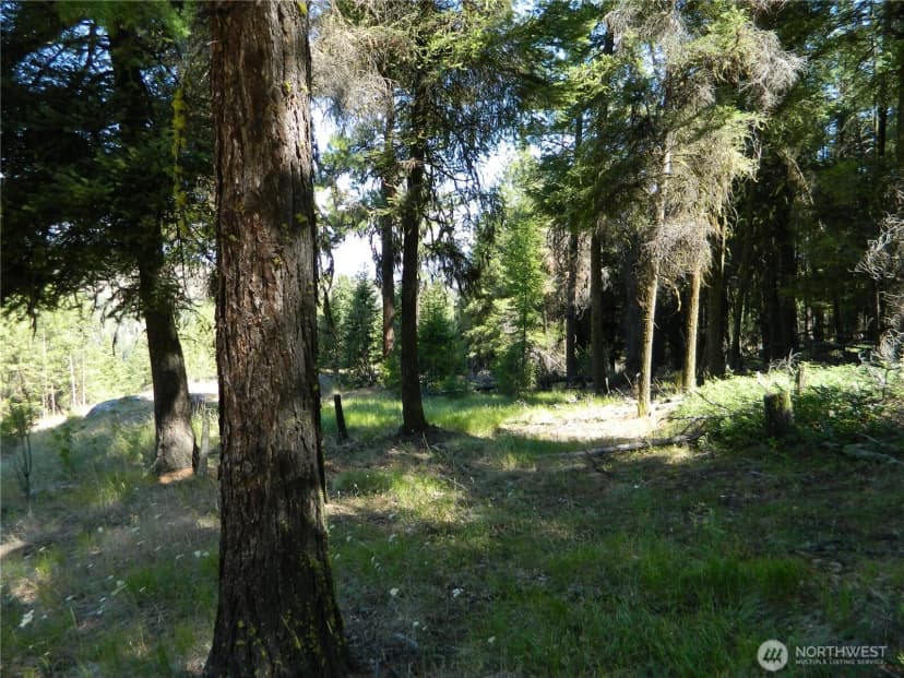 Property photo for 0 Tbd Snowbunny Ridge Drive, Tonasket photo 14