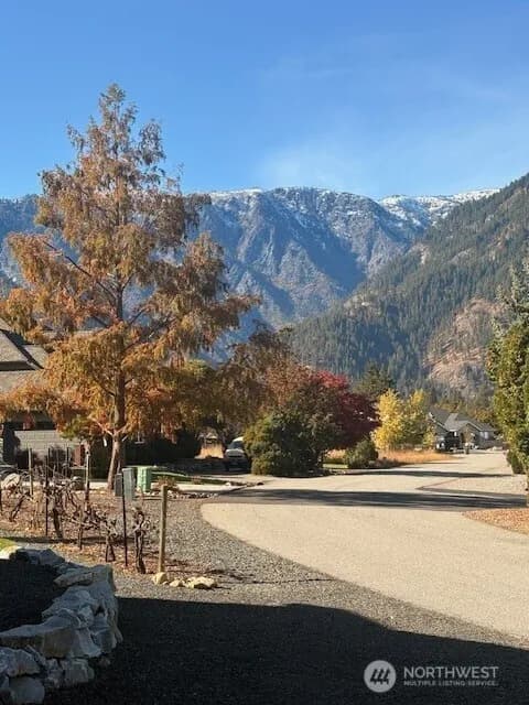 Property photo for 11709 Pear Tree Court, Leavenworth photo 38