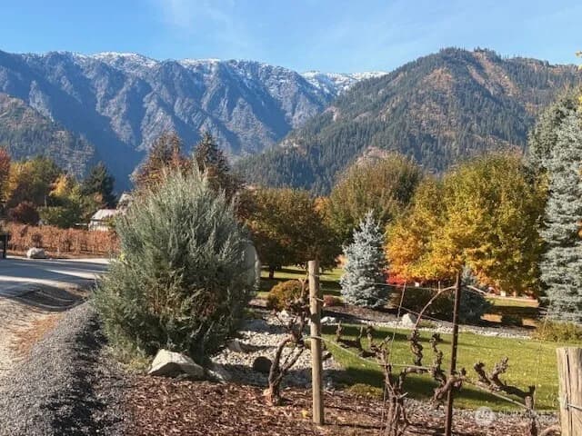 Property photo for 11709 Pear Tree Court, Leavenworth photo 3