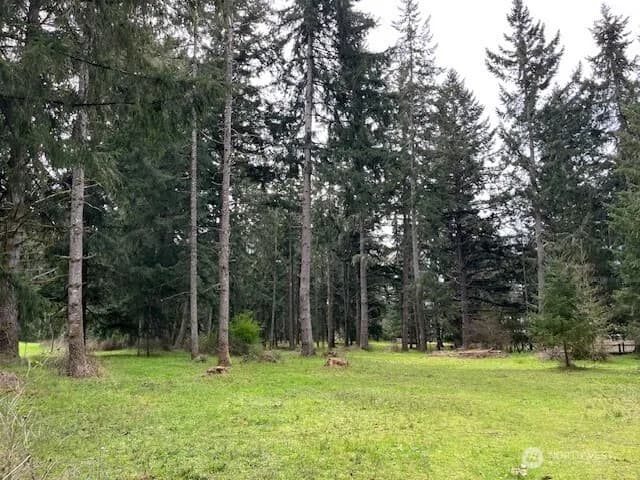 Property photo for 5134 Old Military Road Se, Tenino photo 34