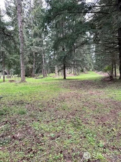 Property photo for 5134 Old Military Road Se, Tenino photo 35