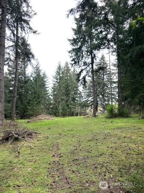 Property photo for 5134 Old Military Road Se, Tenino photo 33