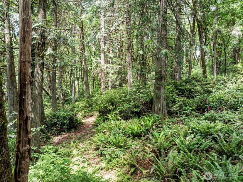 Property photo for 5412 46th Street Ct Nw, Gig Harbor photo 10