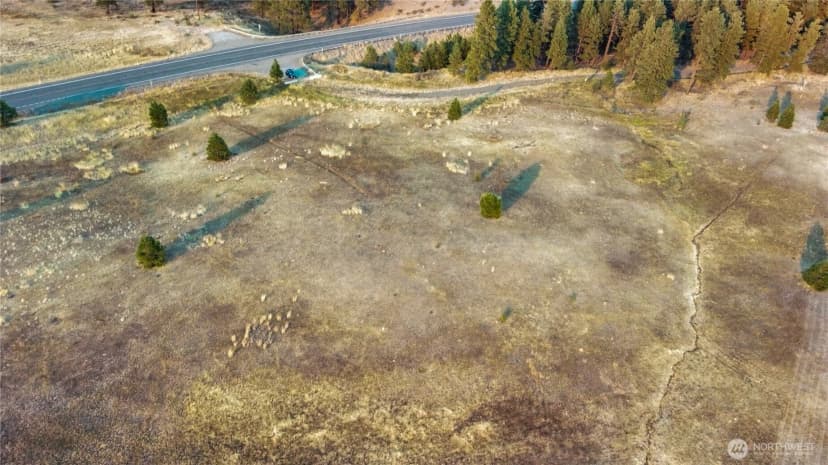 Property photo for 0 Horseshoe Lane, Cle Elum photo 10