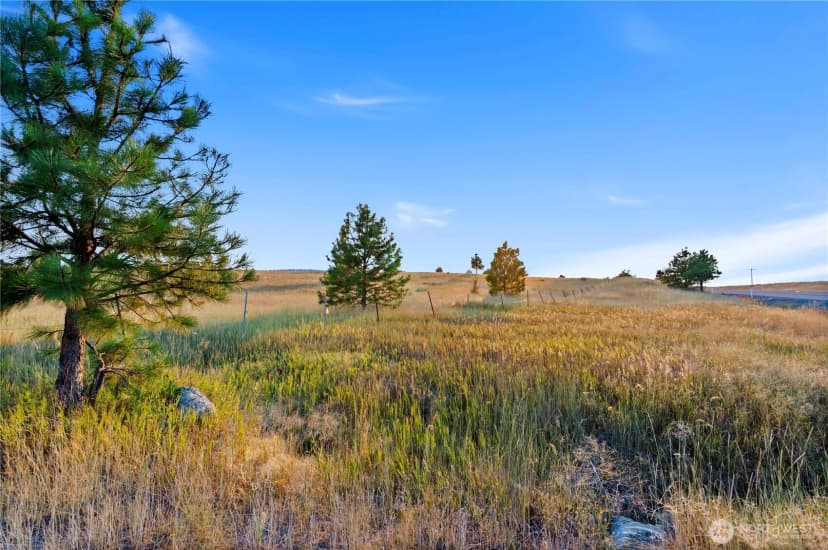 Property photo for 0 Horseshoe Lane, Cle Elum photo 3