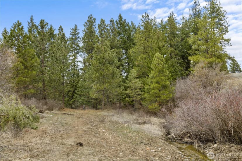 Property photo for 131 Casassa Road, Cle Elum photo 33