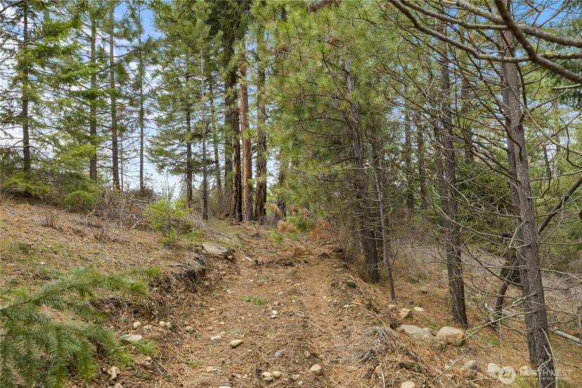 Property photo for 131 Casassa Road, Cle Elum photo 34