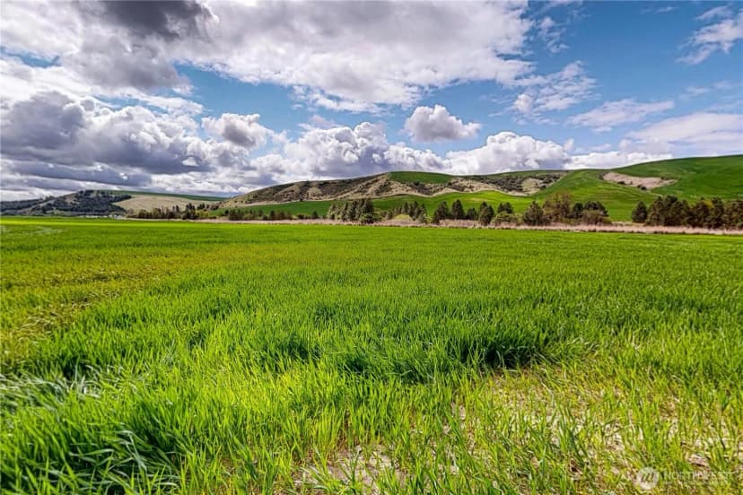 Property photo for 633 Lower Hogeye Road, Waitsburg photo 35