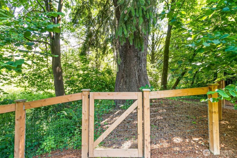 Property photo for 32794 Abrams Avenue, Black Diamond photo 38