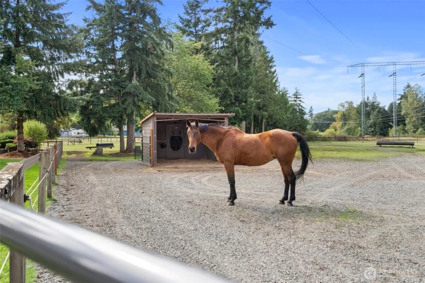 Property photo for 9902 Yelm Highway Se, Olympia photo 33