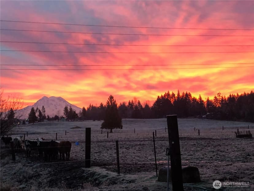 Property photo for 4412 332nd Street E, Eatonville photo 36