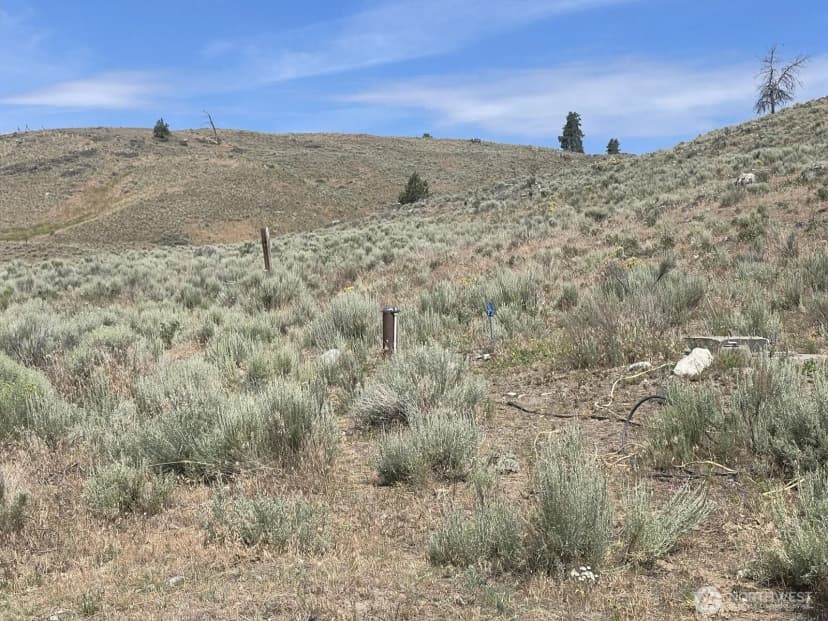 Property photo for 16 Breezy Lane, Tonasket photo 16