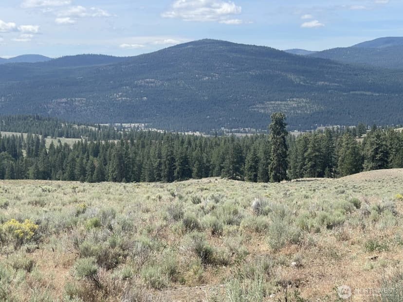 Property photo for 16 Breezy Lane, Tonasket photo 8