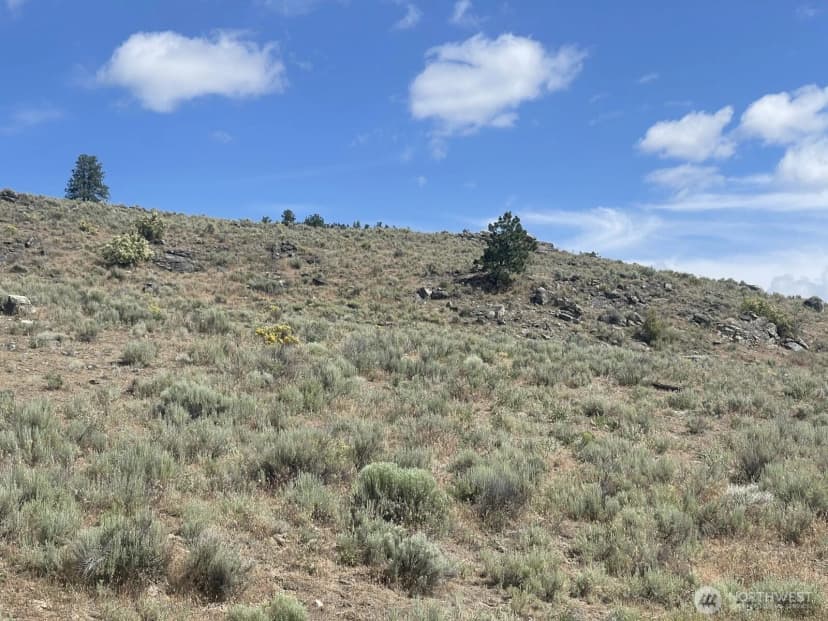 Property photo for 16 Breezy Lane, Tonasket photo 17