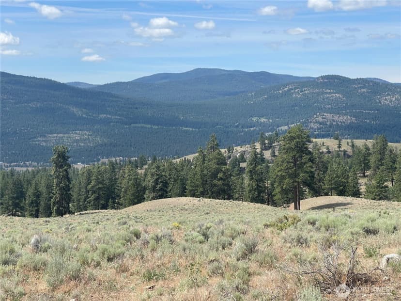Property photo for 16 Breezy Lane, Tonasket photo 20