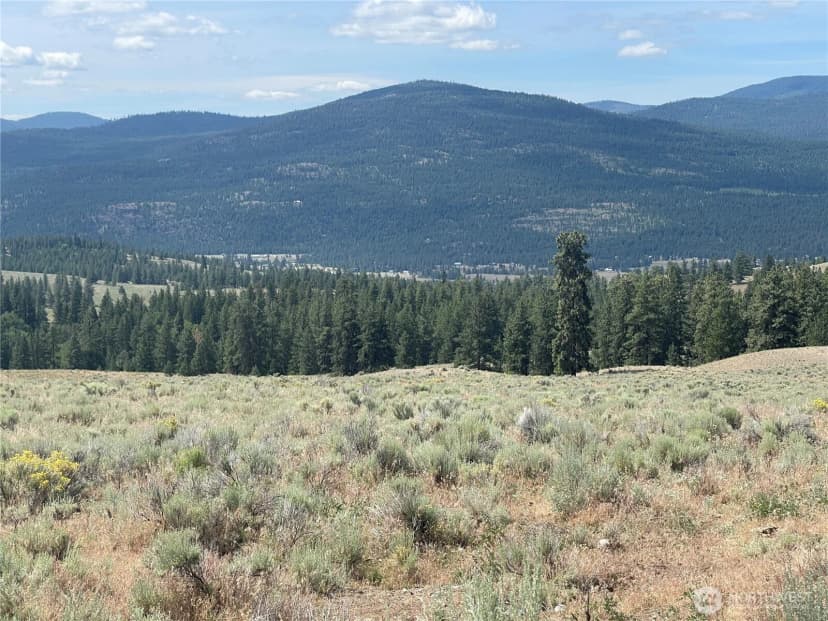 Property photo for 16 Breezy Lane, Tonasket photo 23