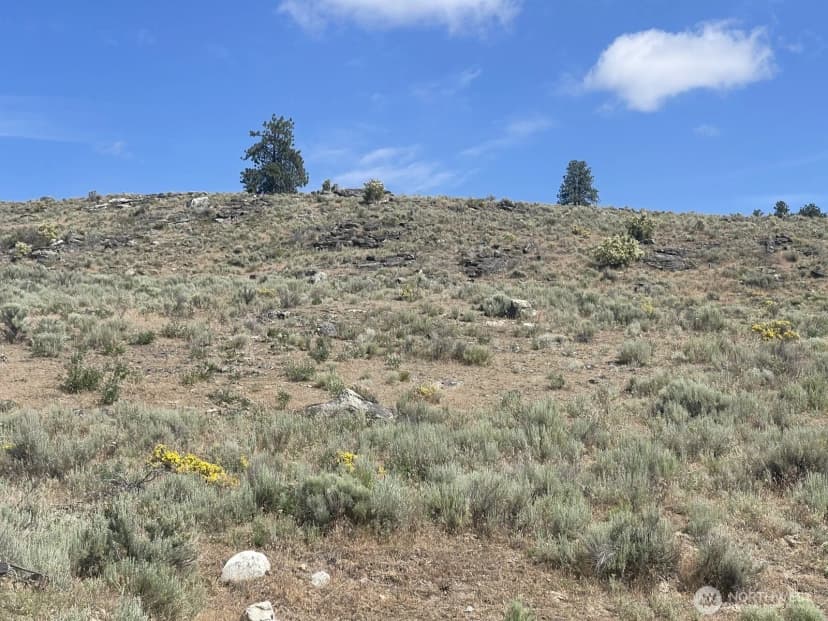 Property photo for 16 Breezy Lane, Tonasket photo 14