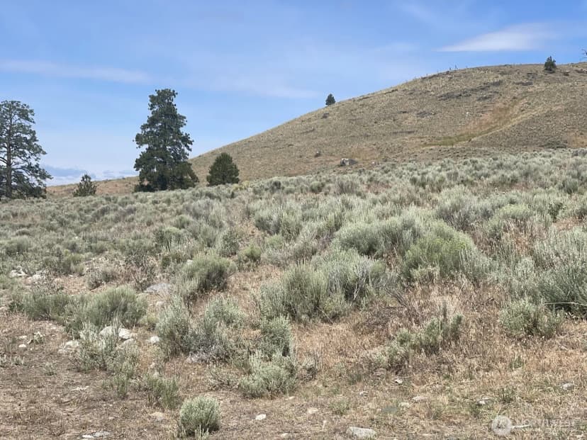 Property photo for 16 Breezy Lane, Tonasket photo 15