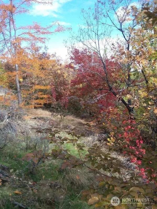 Property photo for 501 Jack Wells Road, Bridgeport photo 17