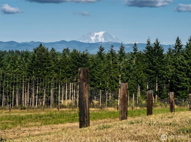 Property photo for 527 Tennessee Road, Winlock photo 3