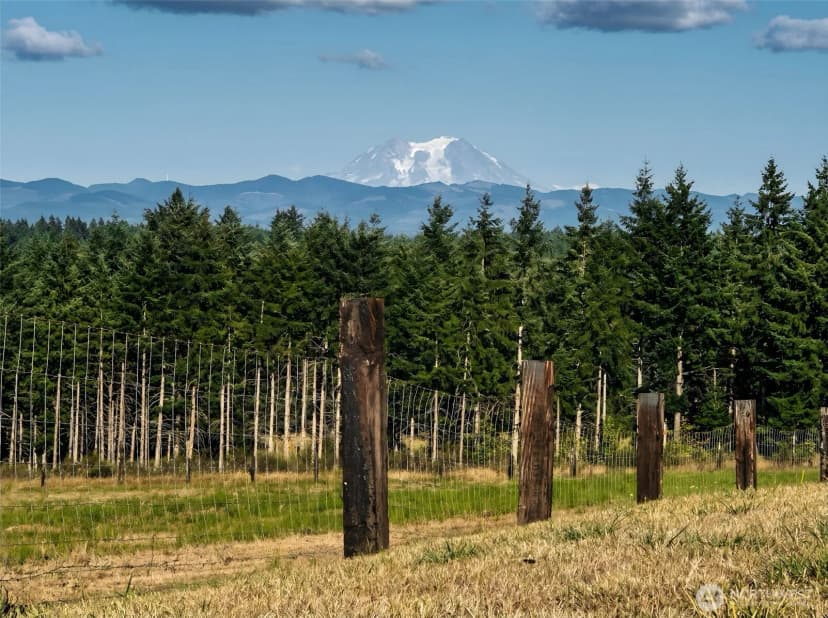 Property photo for 527 Tennessee Road, Winlock photo 3
