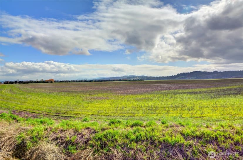 Property photo for 6910 Marsh Road, Snohomish photo 4