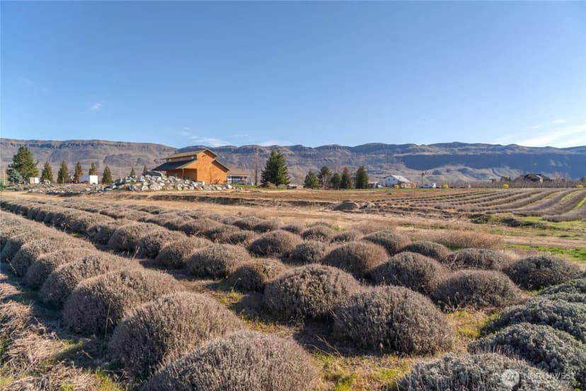 Property photo for 980 S Webb Place, East Wenatchee photo 7