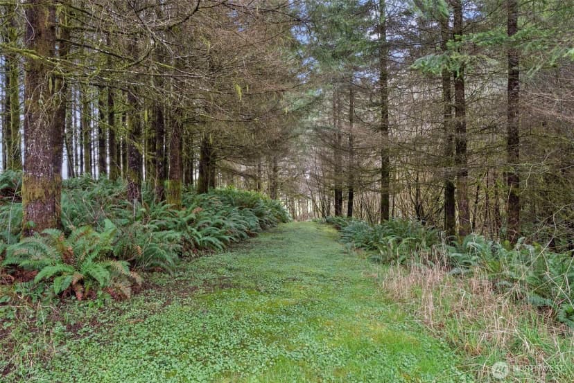 Property photo for 570 Wynooche Valley Road, Montesano photo 23