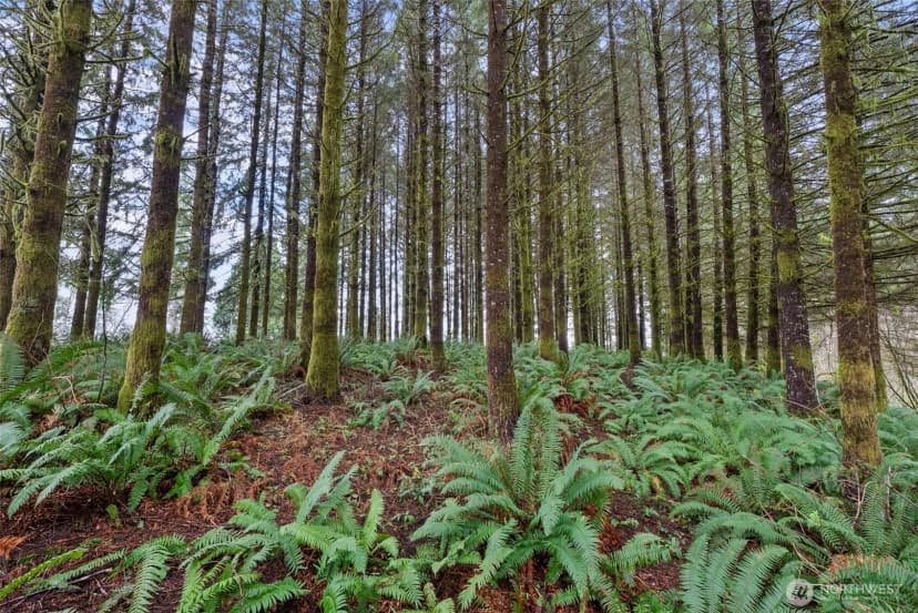 Property photo for 570 Wynooche Valley Road, Montesano photo 24