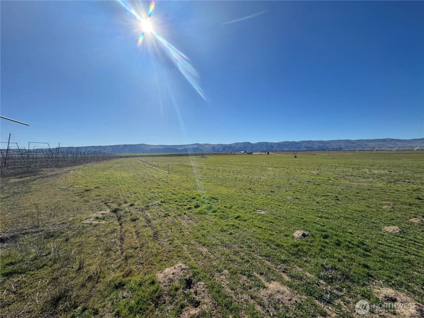 Property photo for 16002 Road 28 Sw, Mattawa photo 23