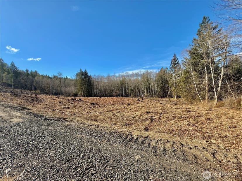 Property photo for 4223 183rd Avenue Ct Sw, Longbranch photo 8