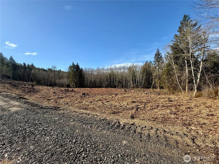 Property photo for 4223 183rd Avenue Ct Sw, Longbranch photo 28