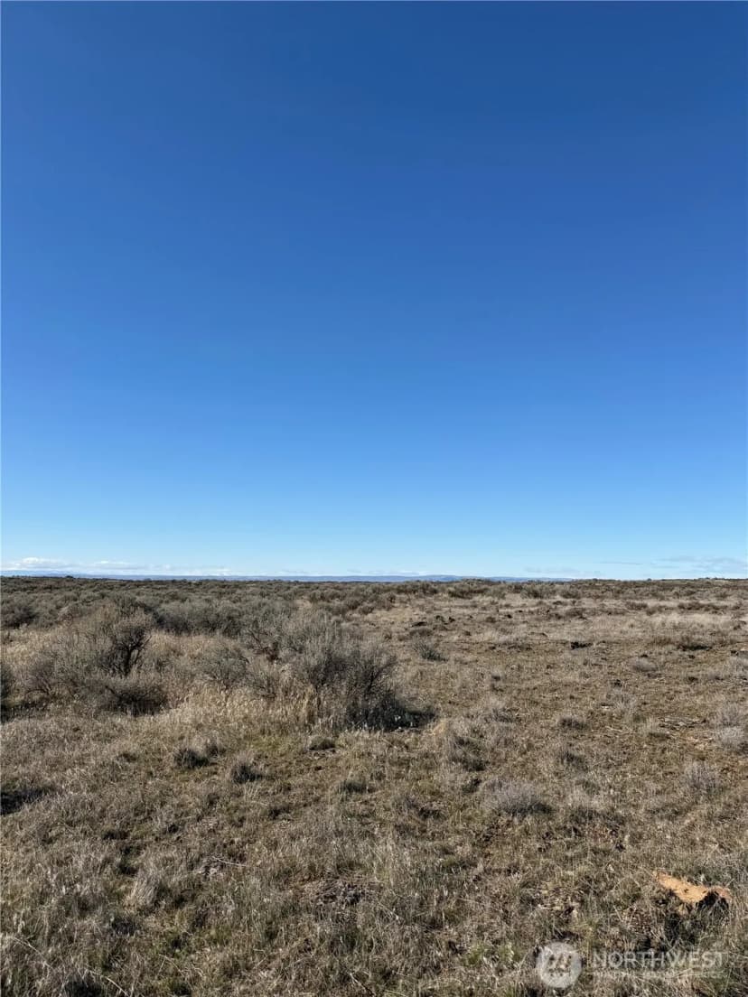 Property photo for 225 Eagle Springs Ranch, Wilson Creek photo 6