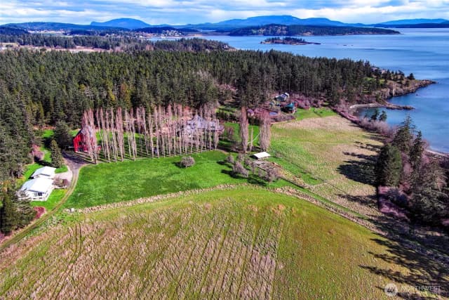 Property photo for 2553 Cattle Point Road, Friday Harbor photo 3
