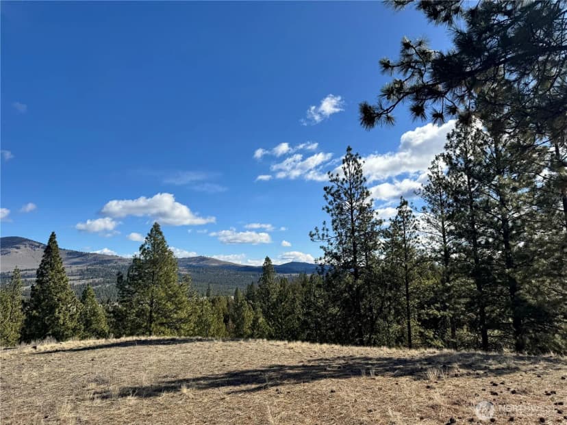 Property photo for 79 Bench Creek Road, Tonasket photo 18