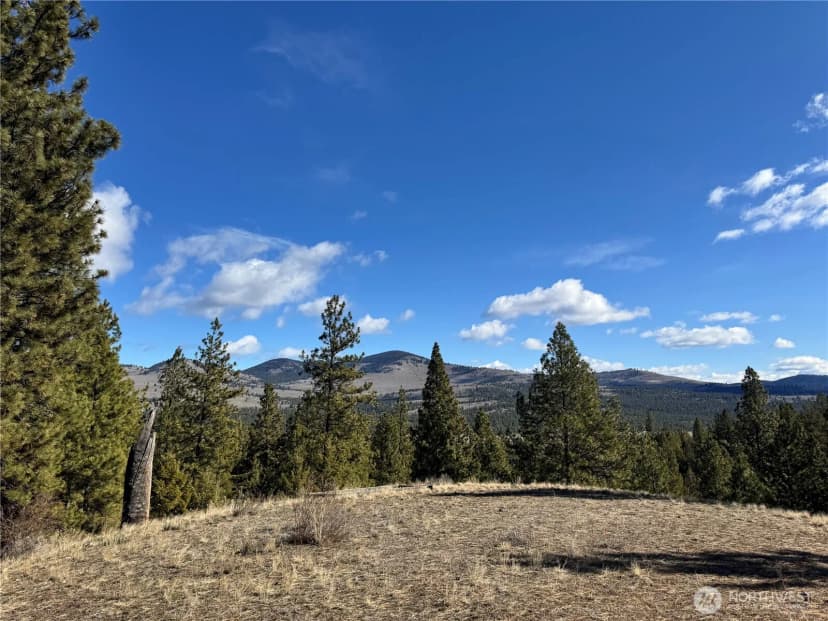 Property photo for 79 Bench Creek Road, Tonasket photo 17